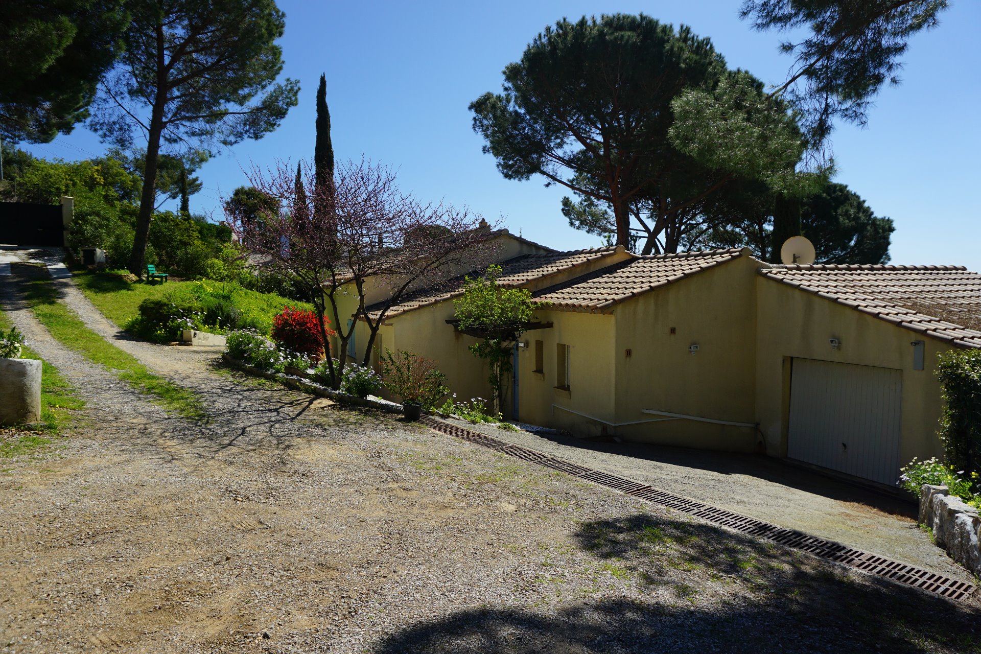 Frontseite des Hauses