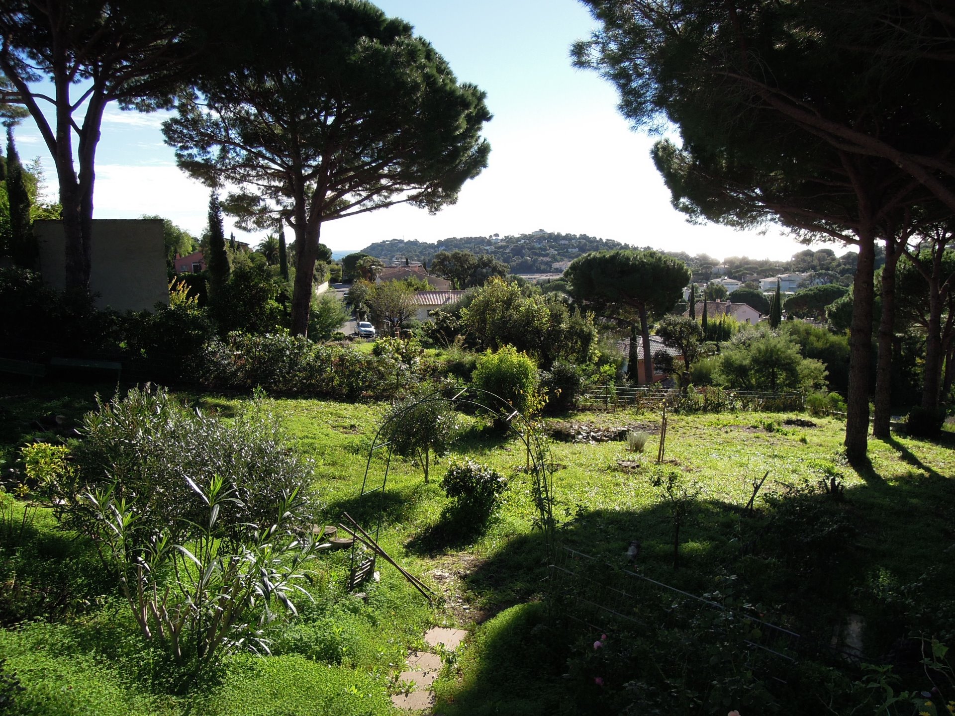 Garten hinter dem Haus